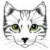 hackcat