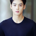 hansoul