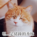 afish00449