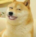 pkookp8