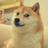 JsonGopher