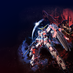 strikecyclone