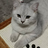 aicsy