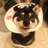 limingmiao
