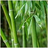 freeplant