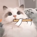 lisaf