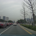 nestzhong