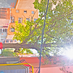 yy030913