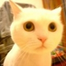 DouglasYYJ