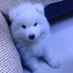 sfcuboy