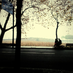 encore001