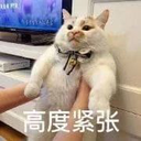 meronpanda