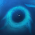 bdbd001