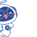 iflytekcdHR