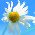username_db