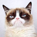 HAWCat