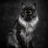 oldcat0314