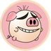 SlipStupig