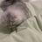 NOver