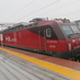 lyl1234