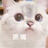 cjlmwcy