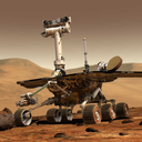 oppy