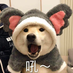 xiaopihaipanwei