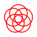 Krysl