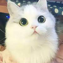 ruogu