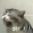 userKamtao