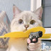 929