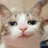 NeuroCat