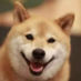 feeeeeef
