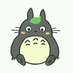 kucy