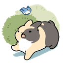 bunny777