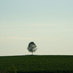solitude3985