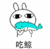 shitouyu
