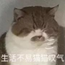 forsai