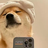 Thecosy