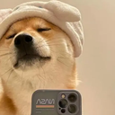 Thecosy
