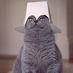 videe