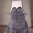 videe