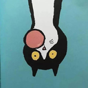szjy1728