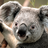 Stephen0309