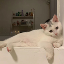 odo