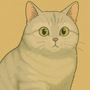 xiaoheicat