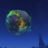 StarForWorld