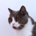 nihiue