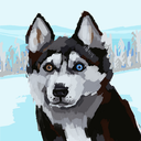 shily
