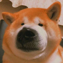 ruochen666